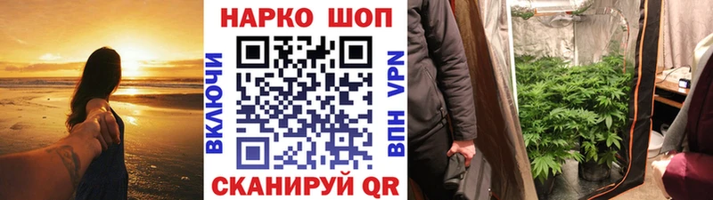 Купить закладку Псилоцибиновые грибы  Меф мяу мяу  A PVP  MDMA  Канабис  ГАШИШ  Барнаул