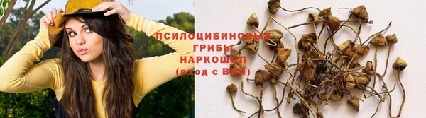 МДМА Михайлов
