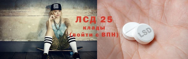 прущие грибы Михайловск