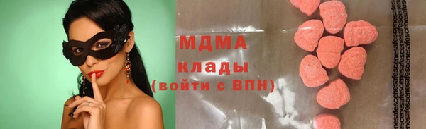 прущие грибы Михайловск