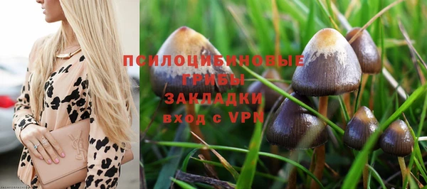круглые Михайловка