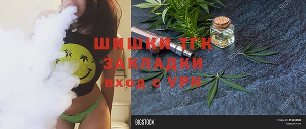прущие грибы Михайловск