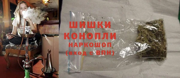 прущие грибы Михайловск