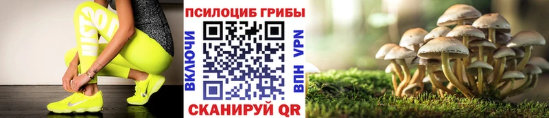 Псилоцибиновые грибы Psilocybine cubensis  Купить закладки  Барнаул 